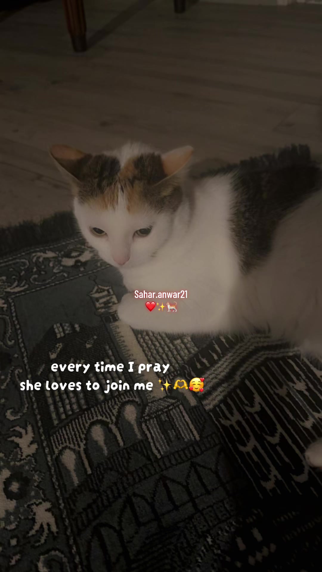 @𝓈𝒶𝒽𝒶𝓇 & 𝒸𝑜𝑜𝓀𝒾𝓃𝑔🧿✨