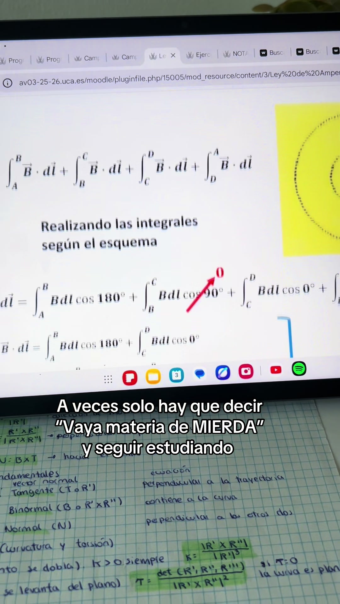 @Ana Cielo
