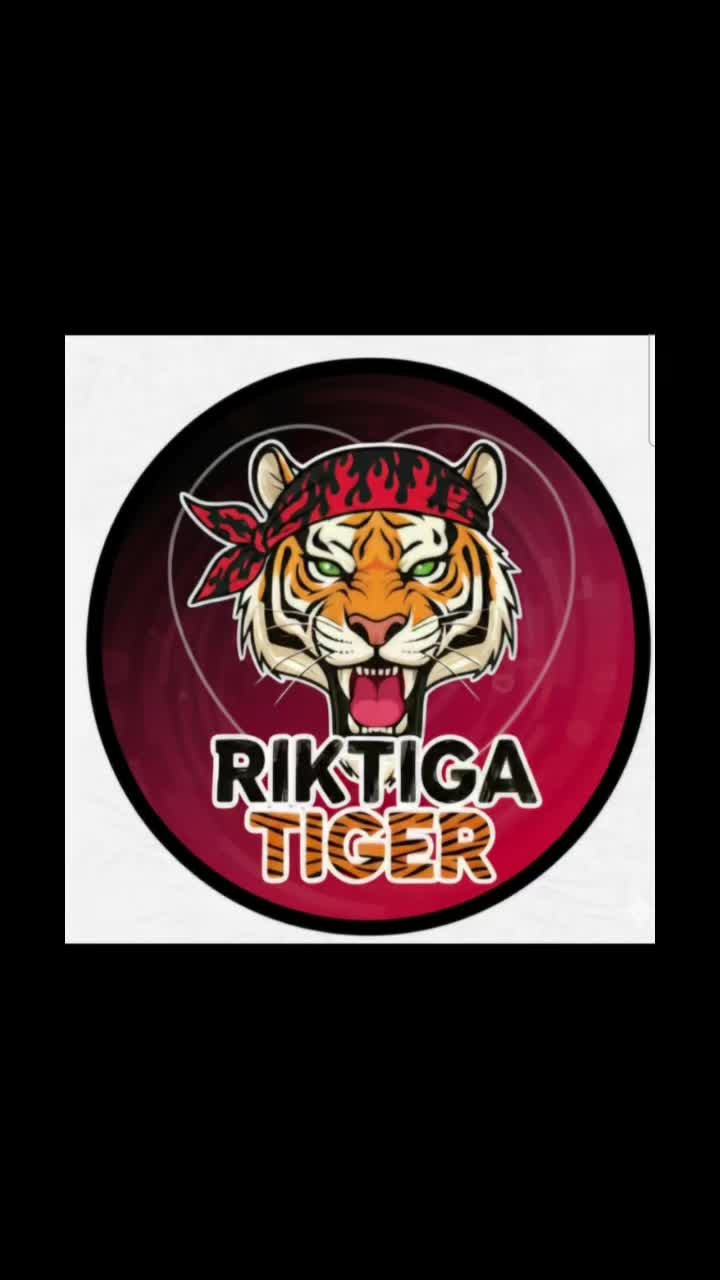 @🇸🇪Riktiga Tiger🇸🇪