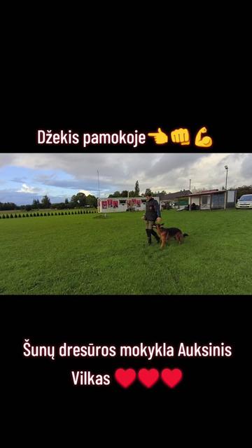 @Vidmantas Selvenis