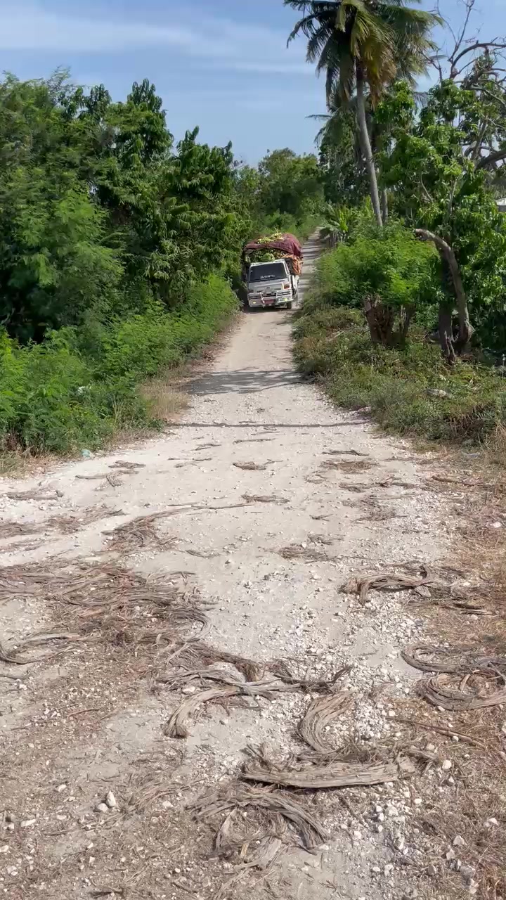@transporte Mordan🛠️