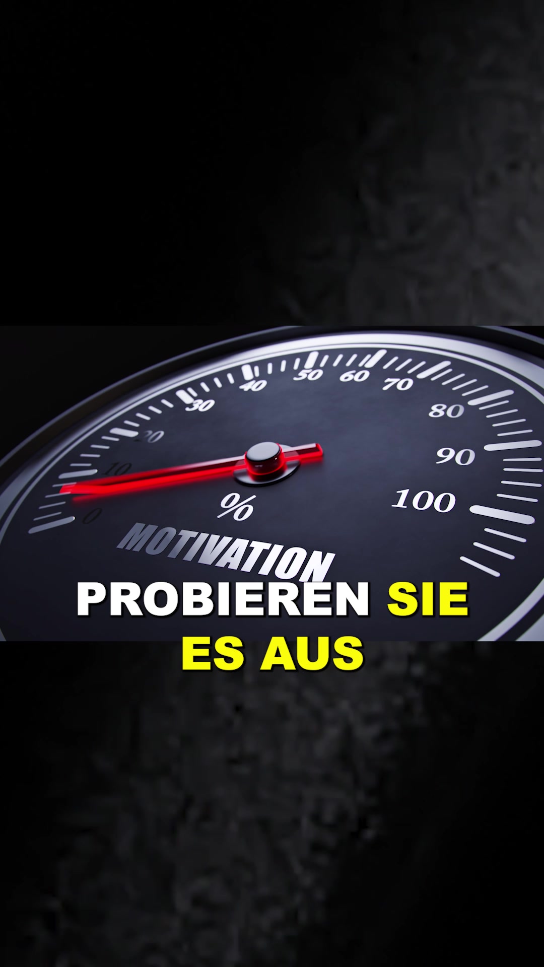 @Prof. Dr. Markus Haid