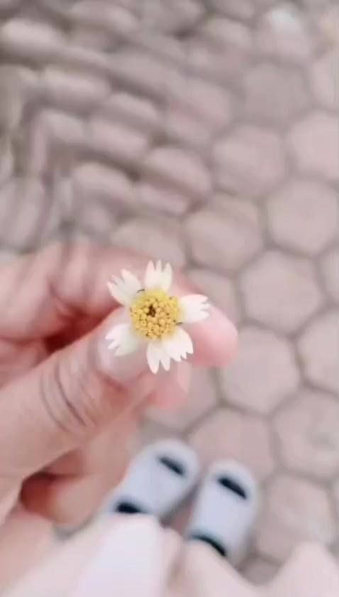 @Yusnaini