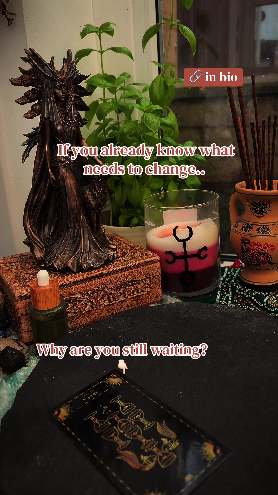@Maple Magick