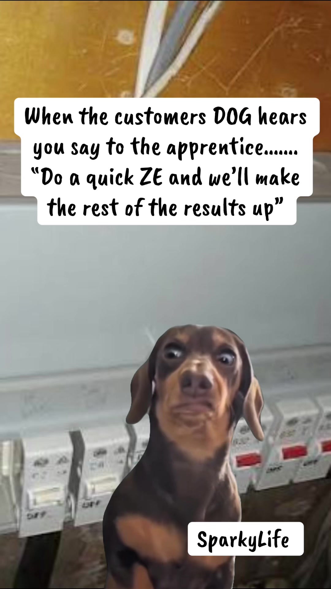 @sparkybantz