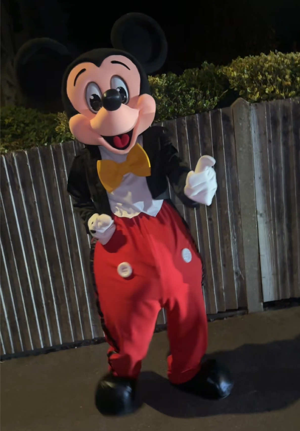 @KPsdancingmascots
