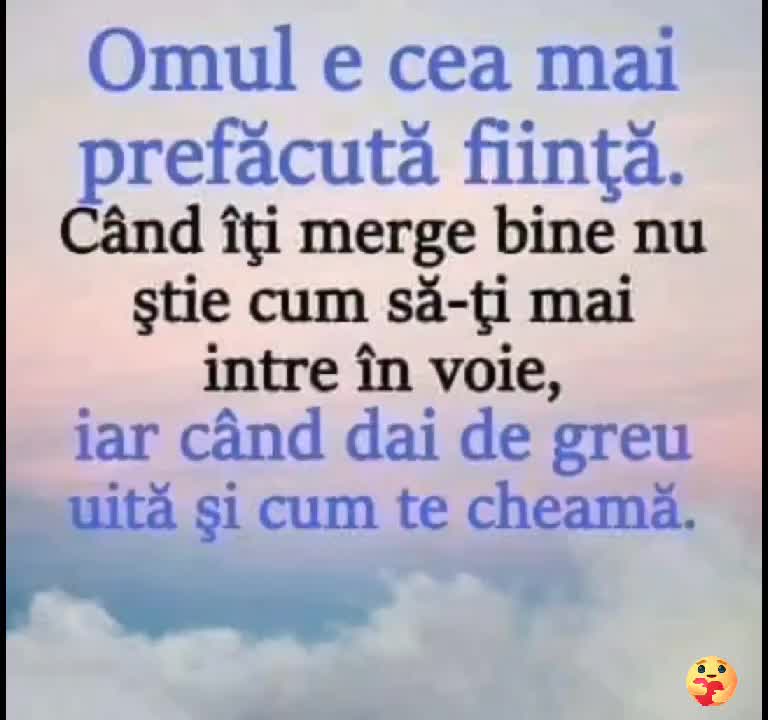@Elena Cotia