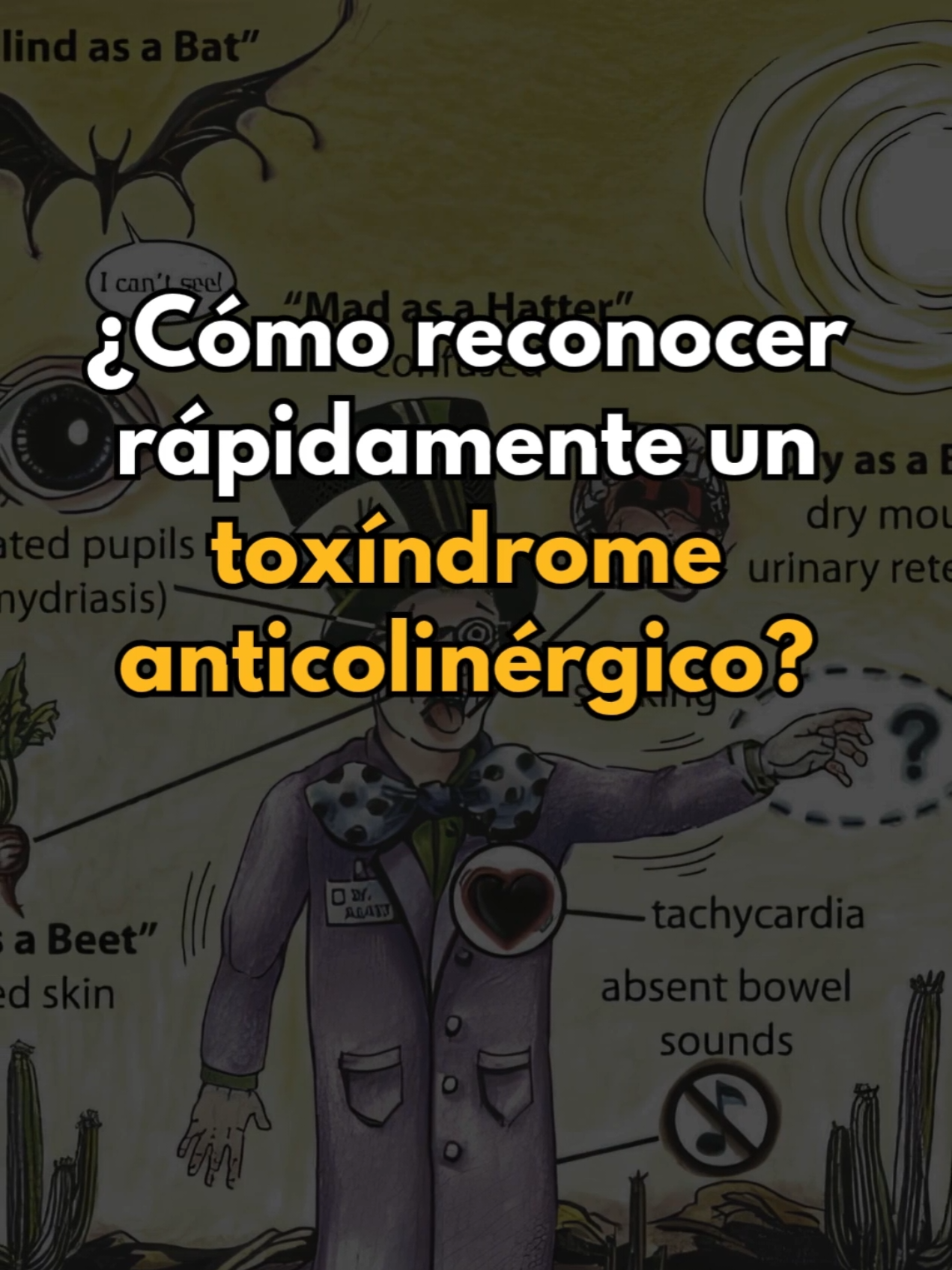@Aula MEJOR
