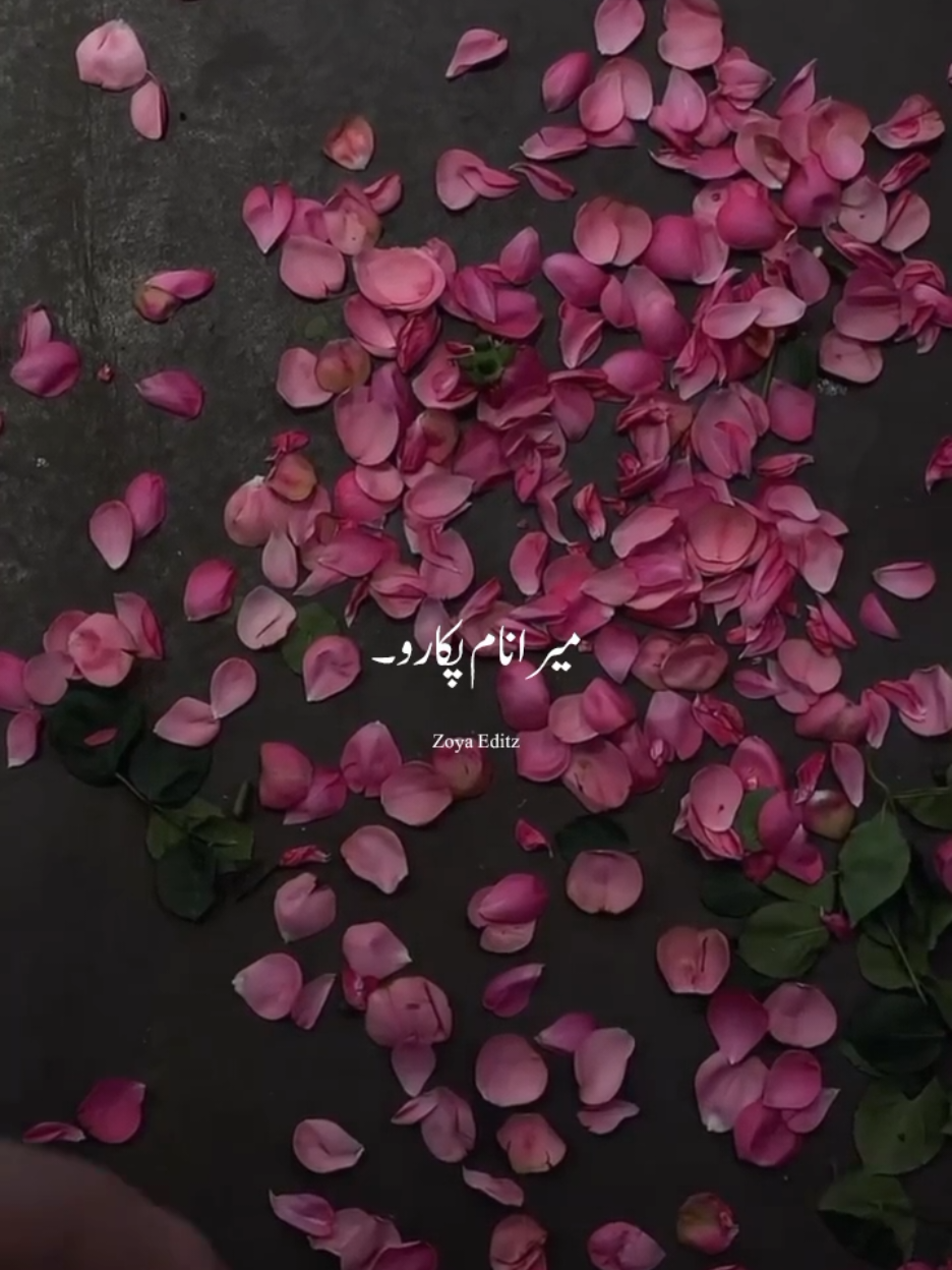 @𝐙𝐨𝐲𝐚 𝐄𝐝𝐢𝐭𝐳 💫