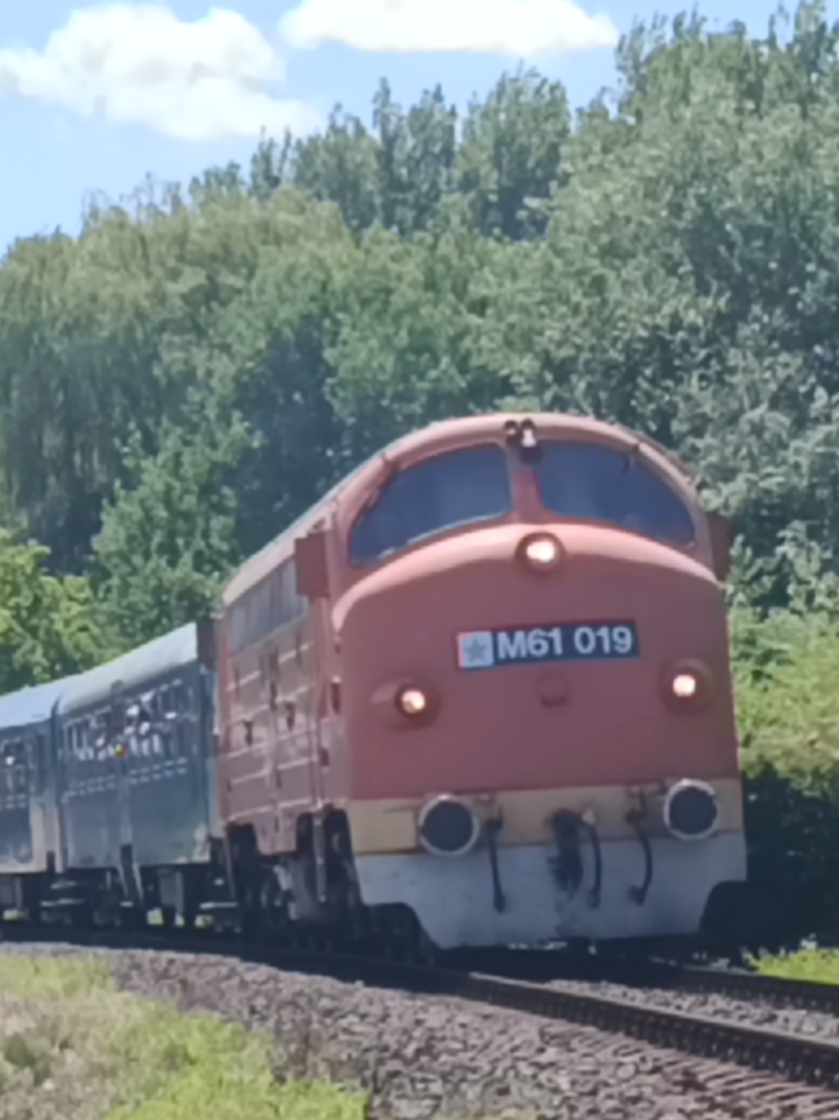 @🚍Zsombor🚆