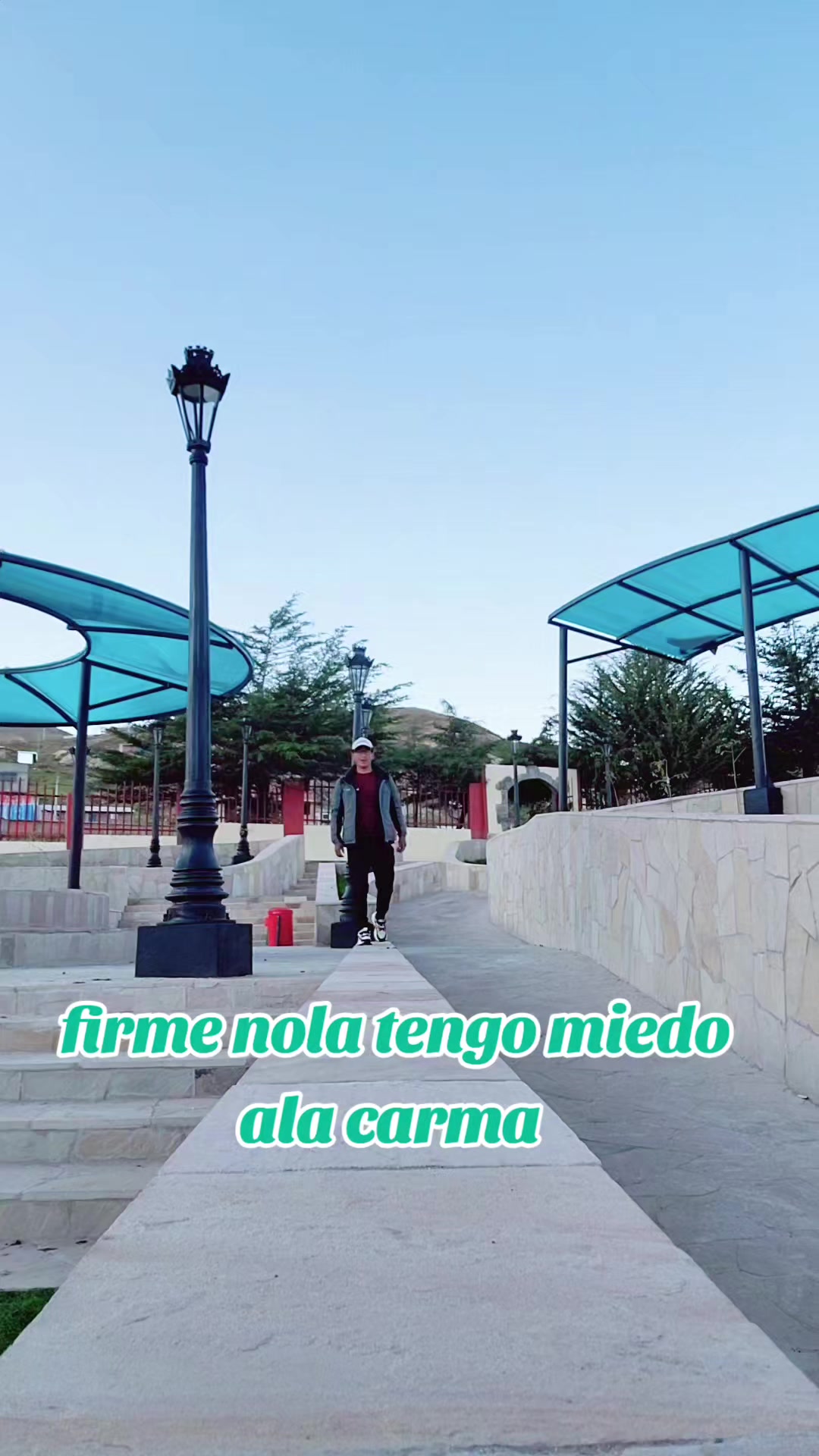 @david luna huamani