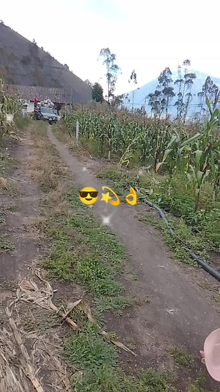 @Tania🦋 Tierra