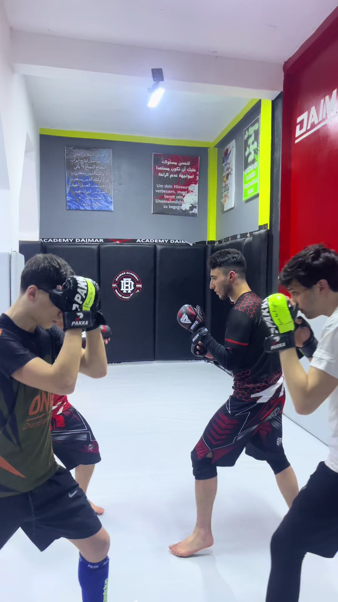 @daimar.academy