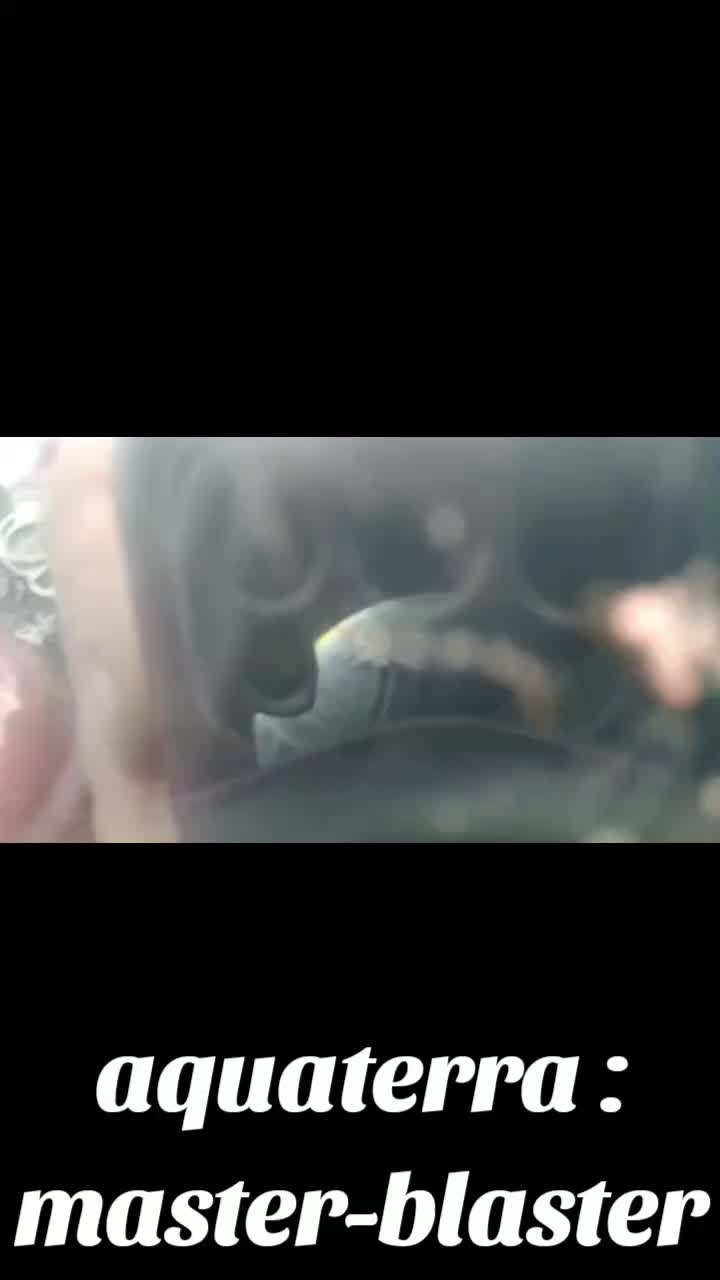 @shaman4prikol4