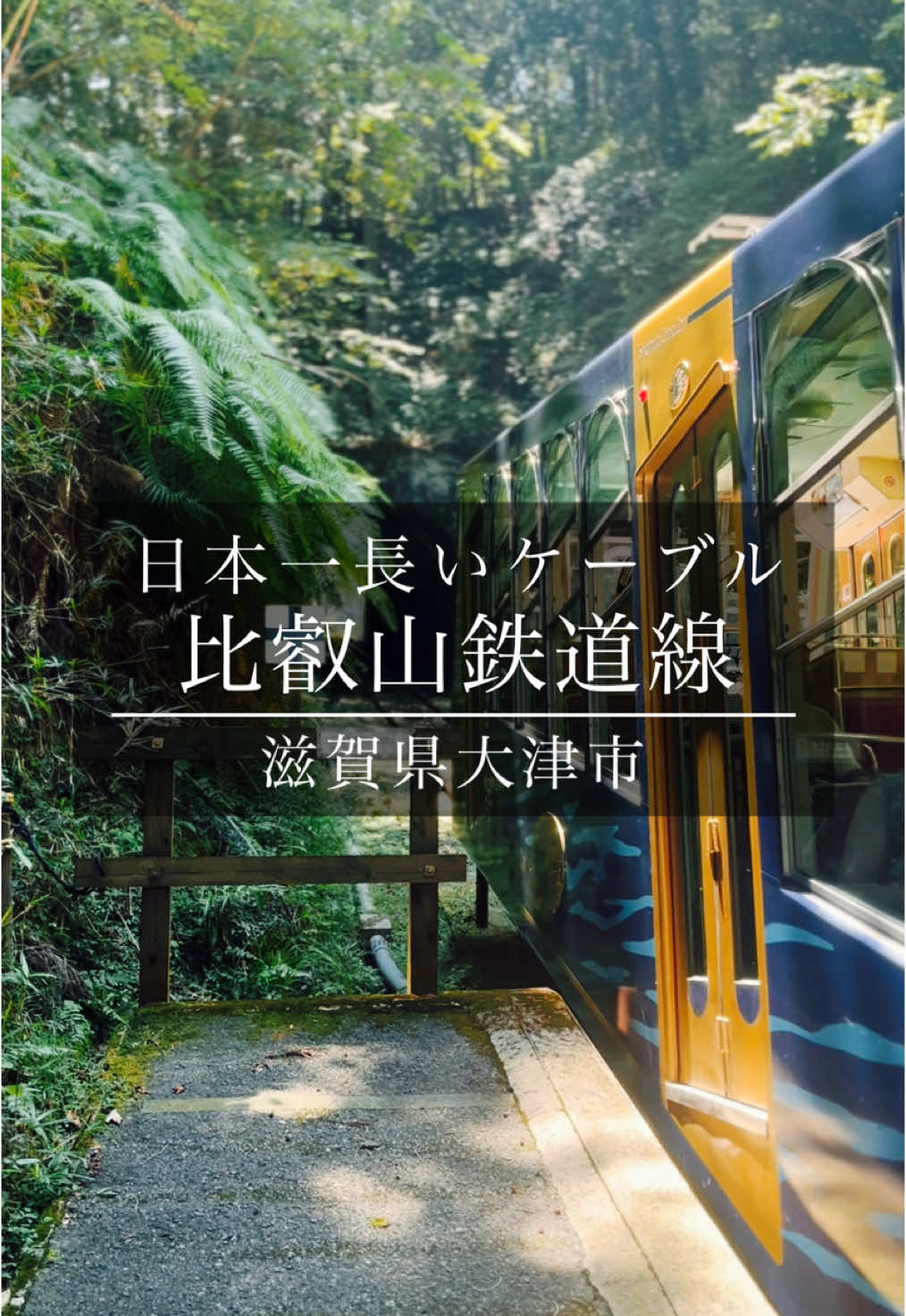 @tabi_momoka/観光&bull;旅行