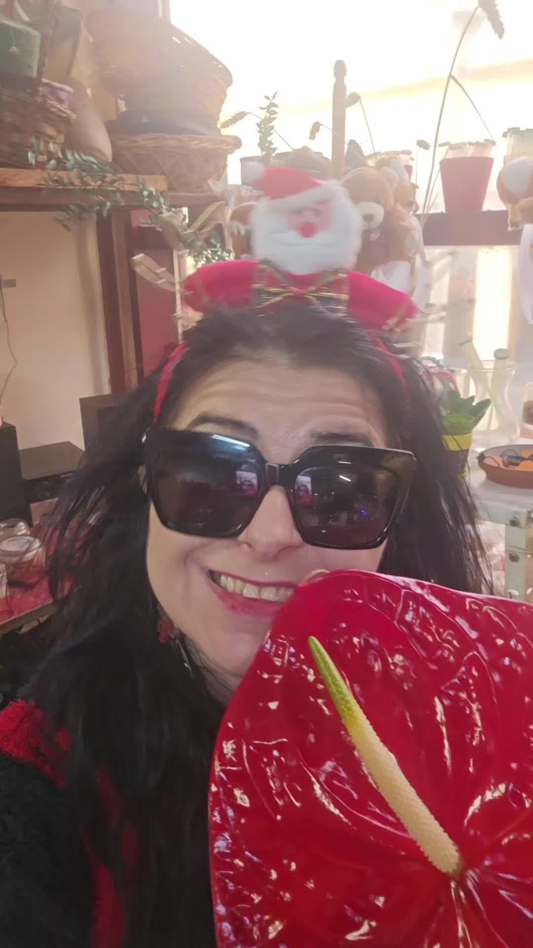 @Claudia Moldovan🌹🌴💐🪴🌷🪻🌻