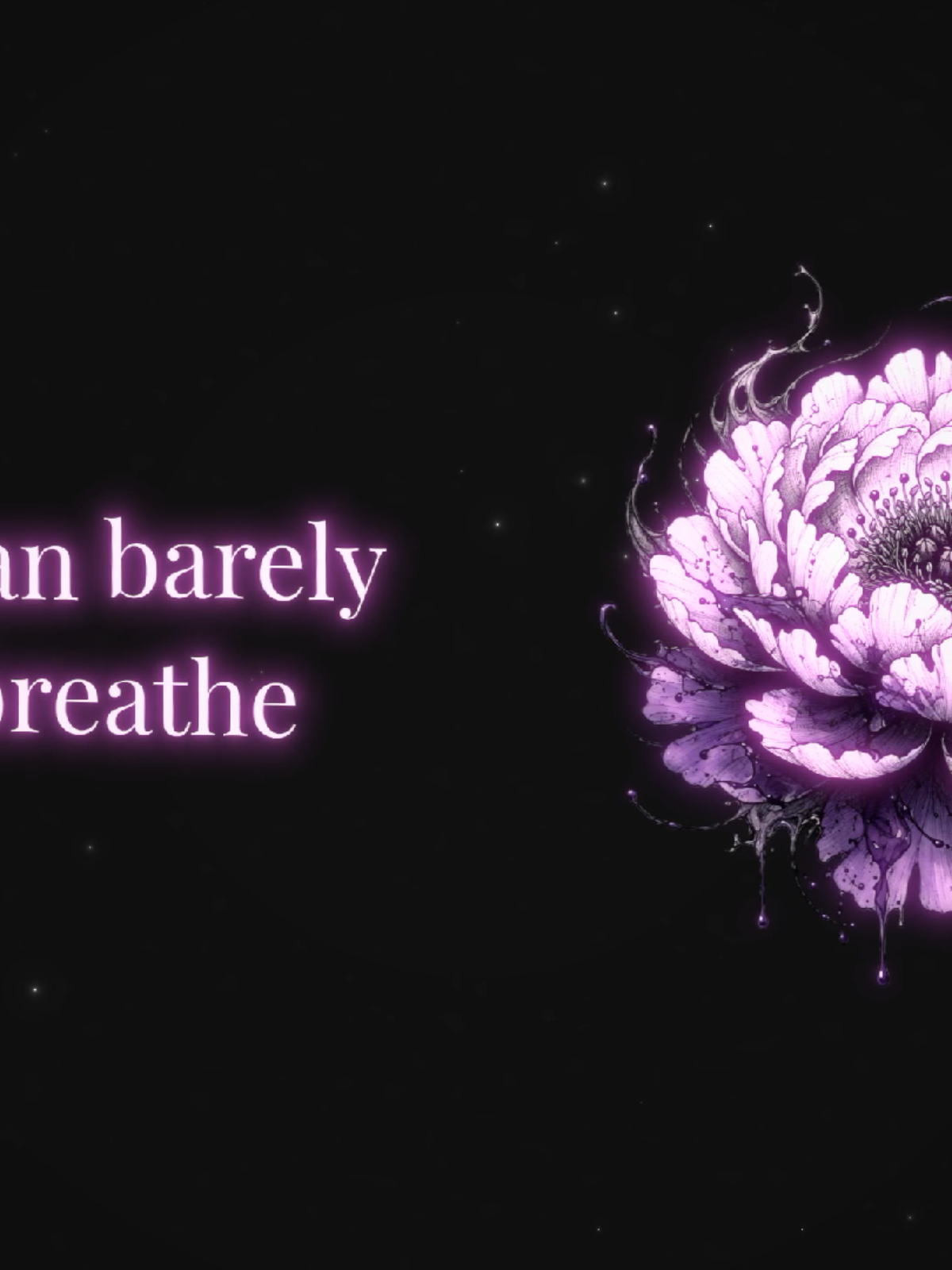 @🎧 𝚟𝚋𝚡𝚡𝚜𝚘𝚗𝚐𝚜