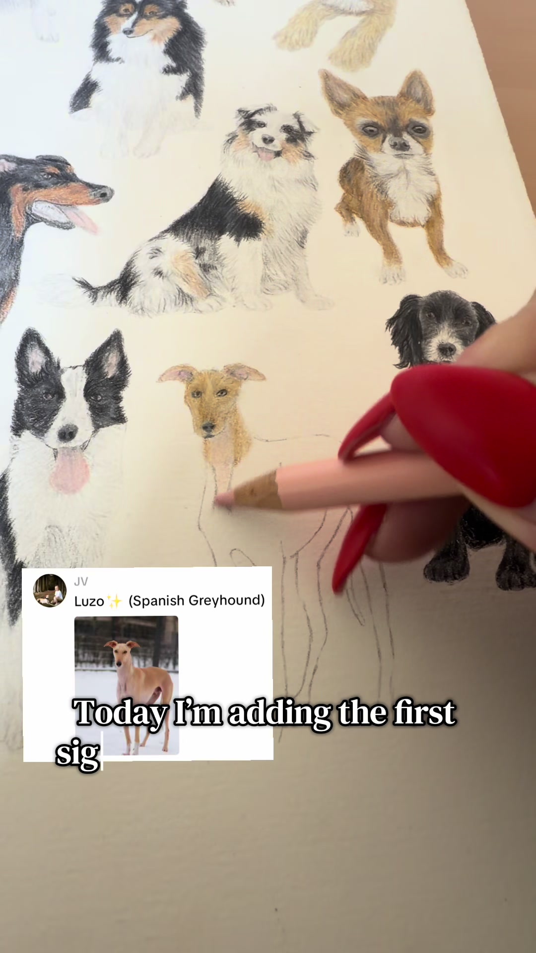 @Ysabel Illustrates