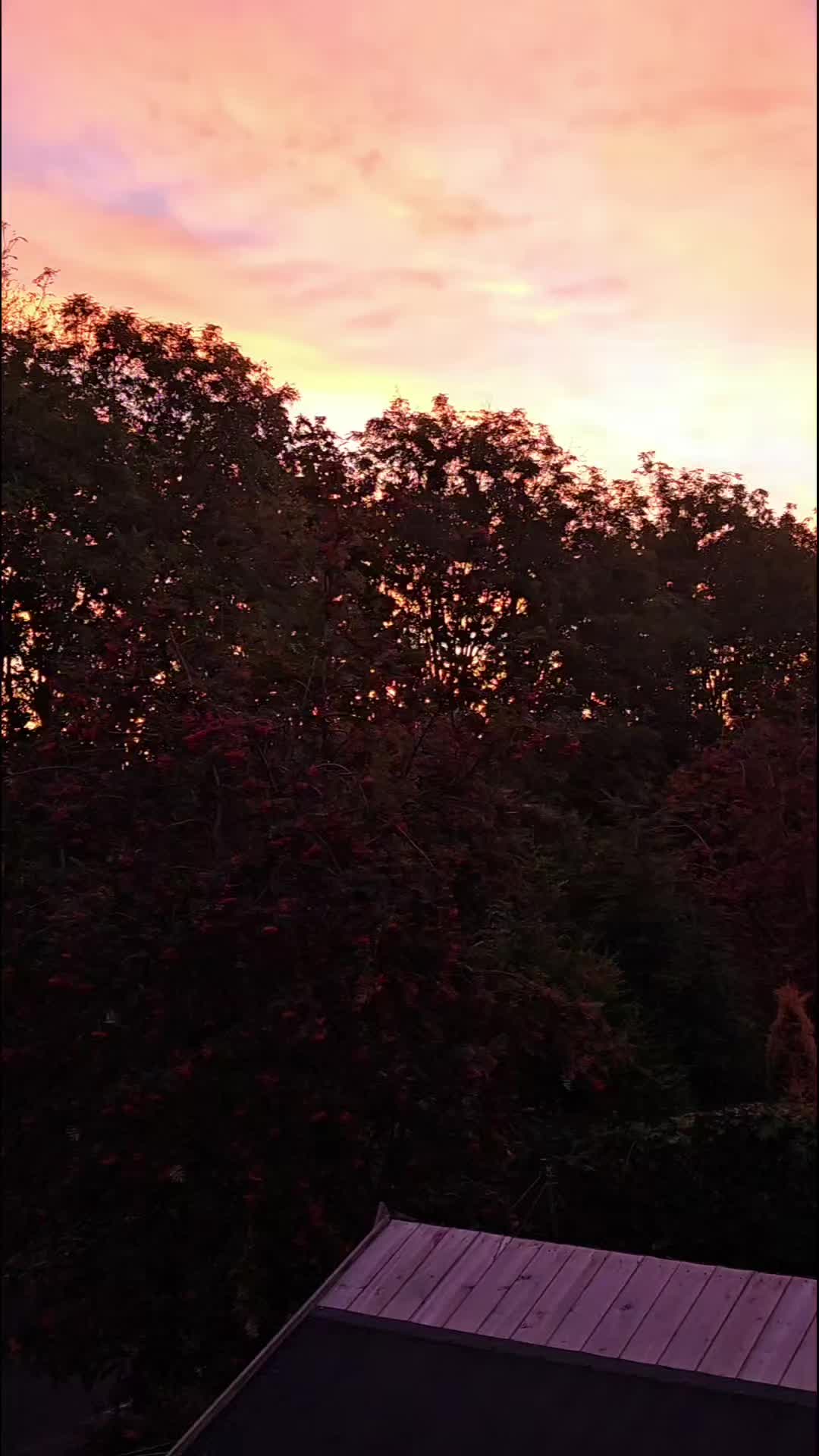 @Rawlifebyjanki