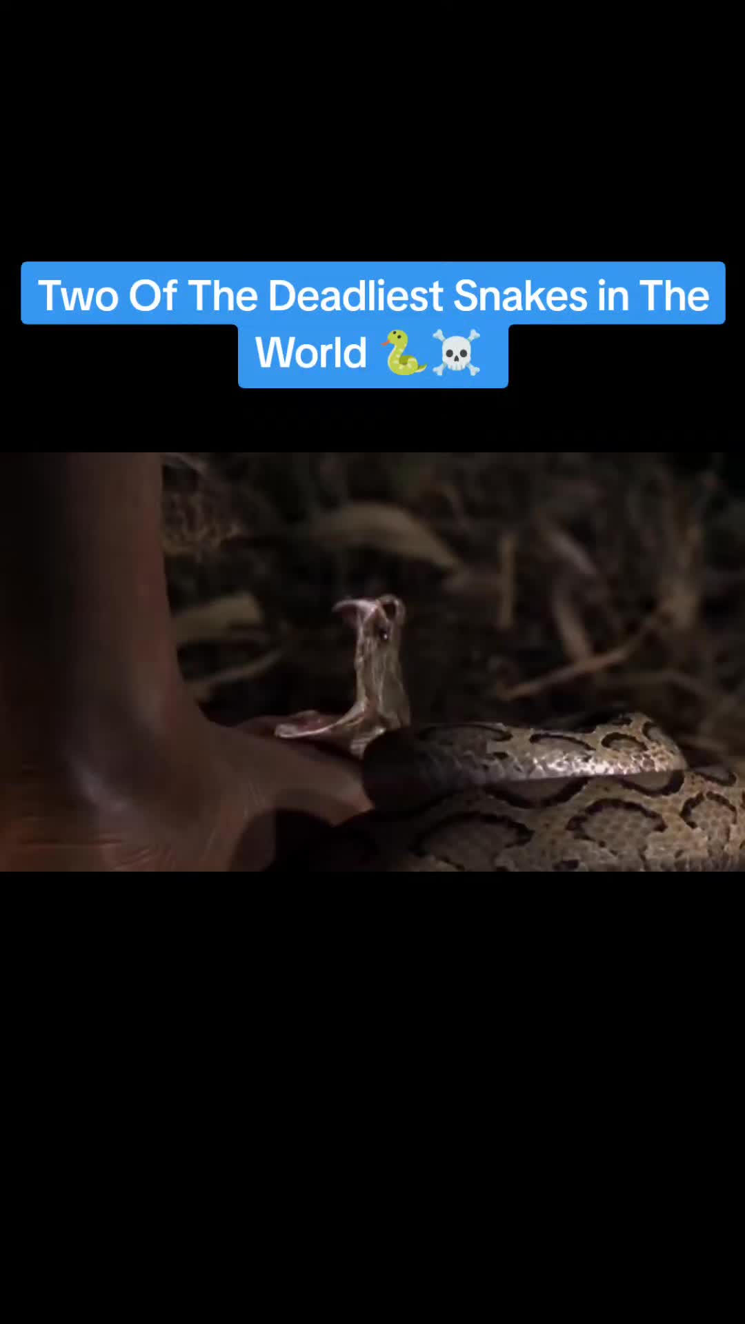 @🌏Facts Amazing🌍