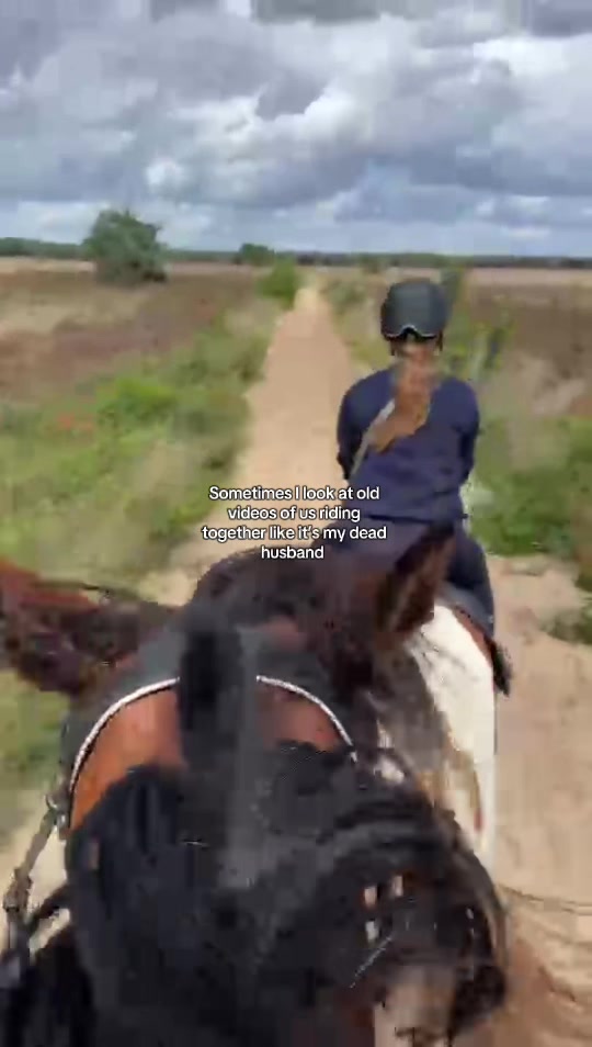 @idh_horses