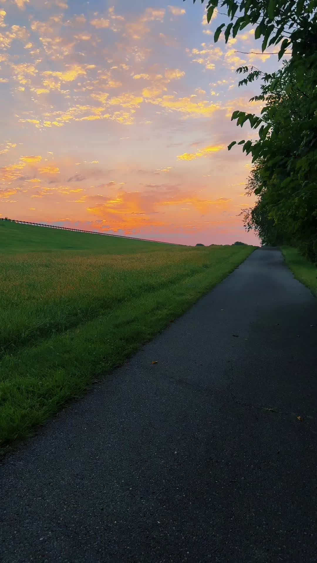 @alone4life444