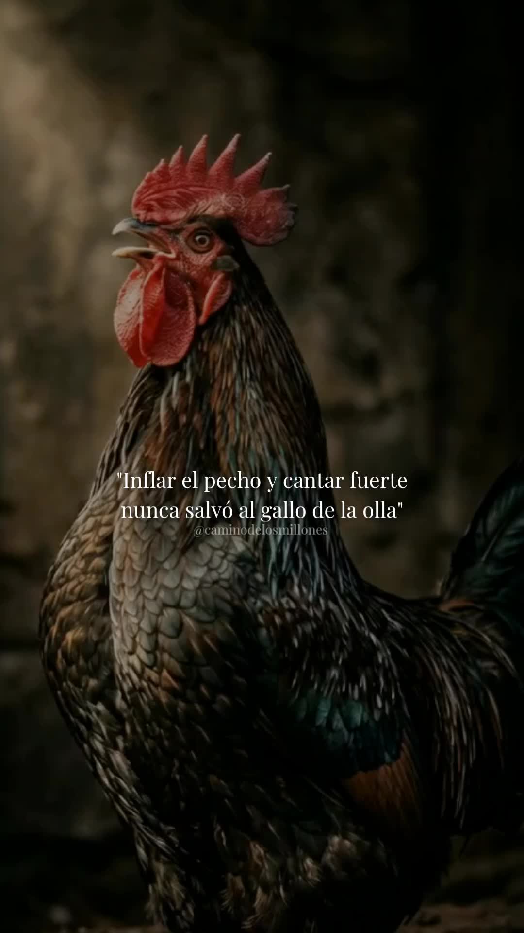 @caminodelosmillones