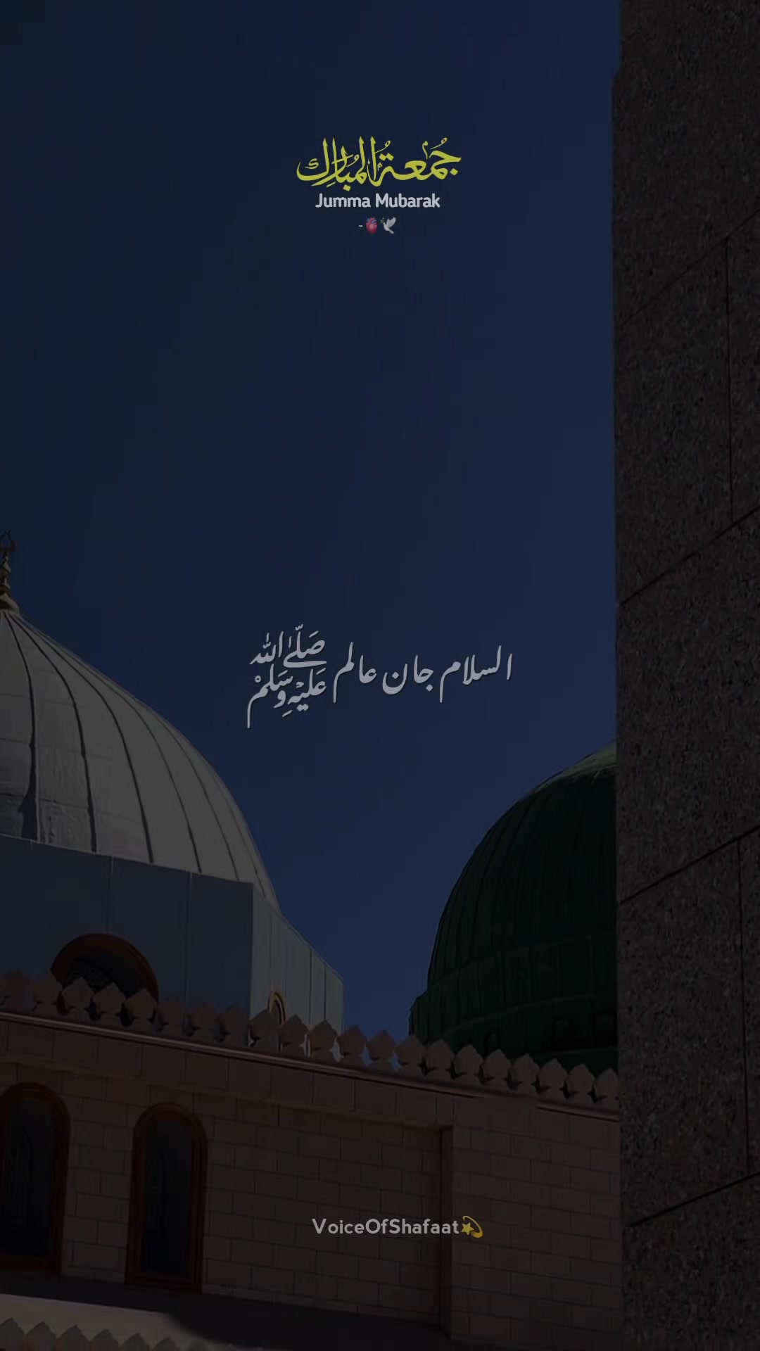 @VoiceOfShafaat💫