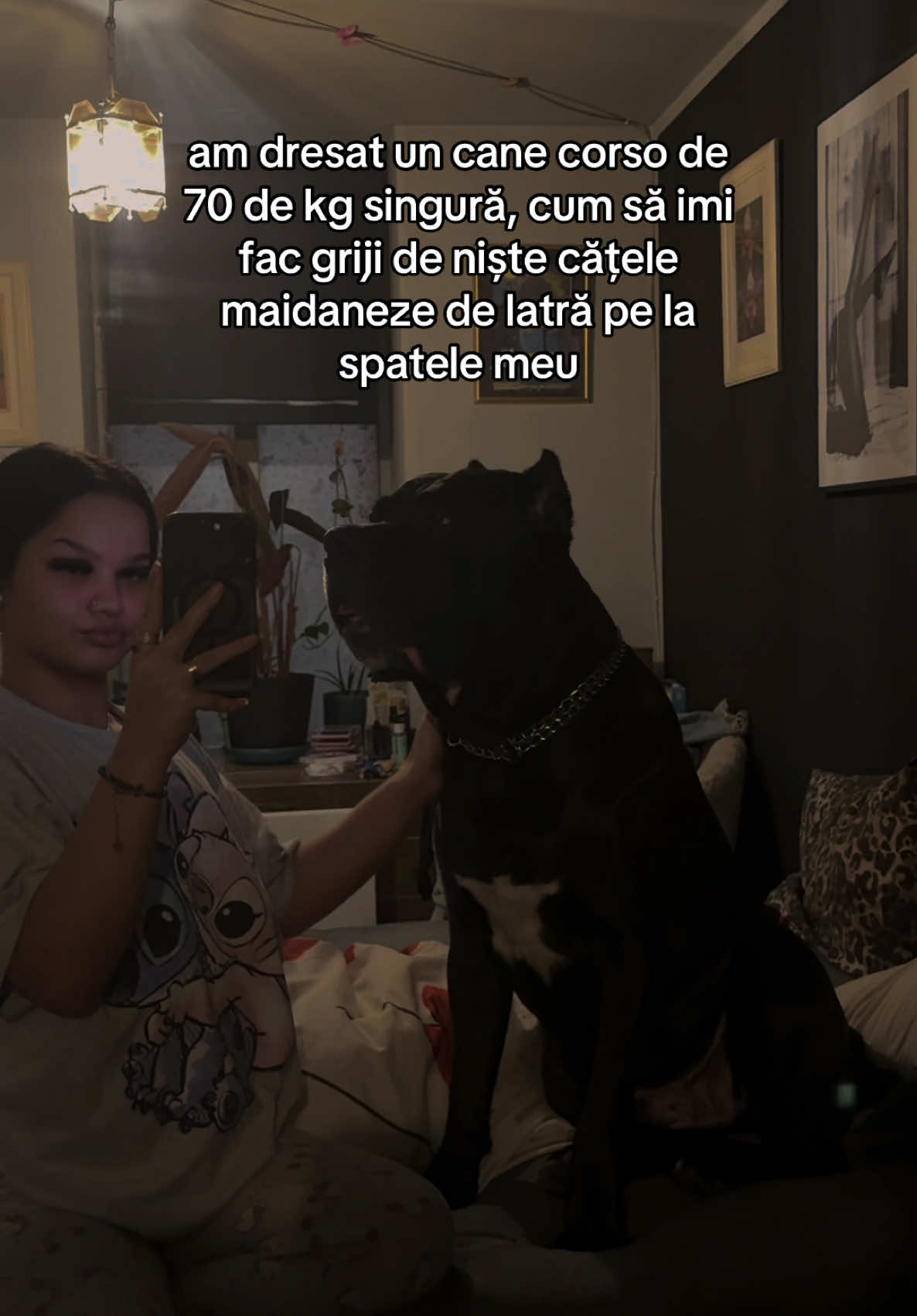 @alishaa.rls