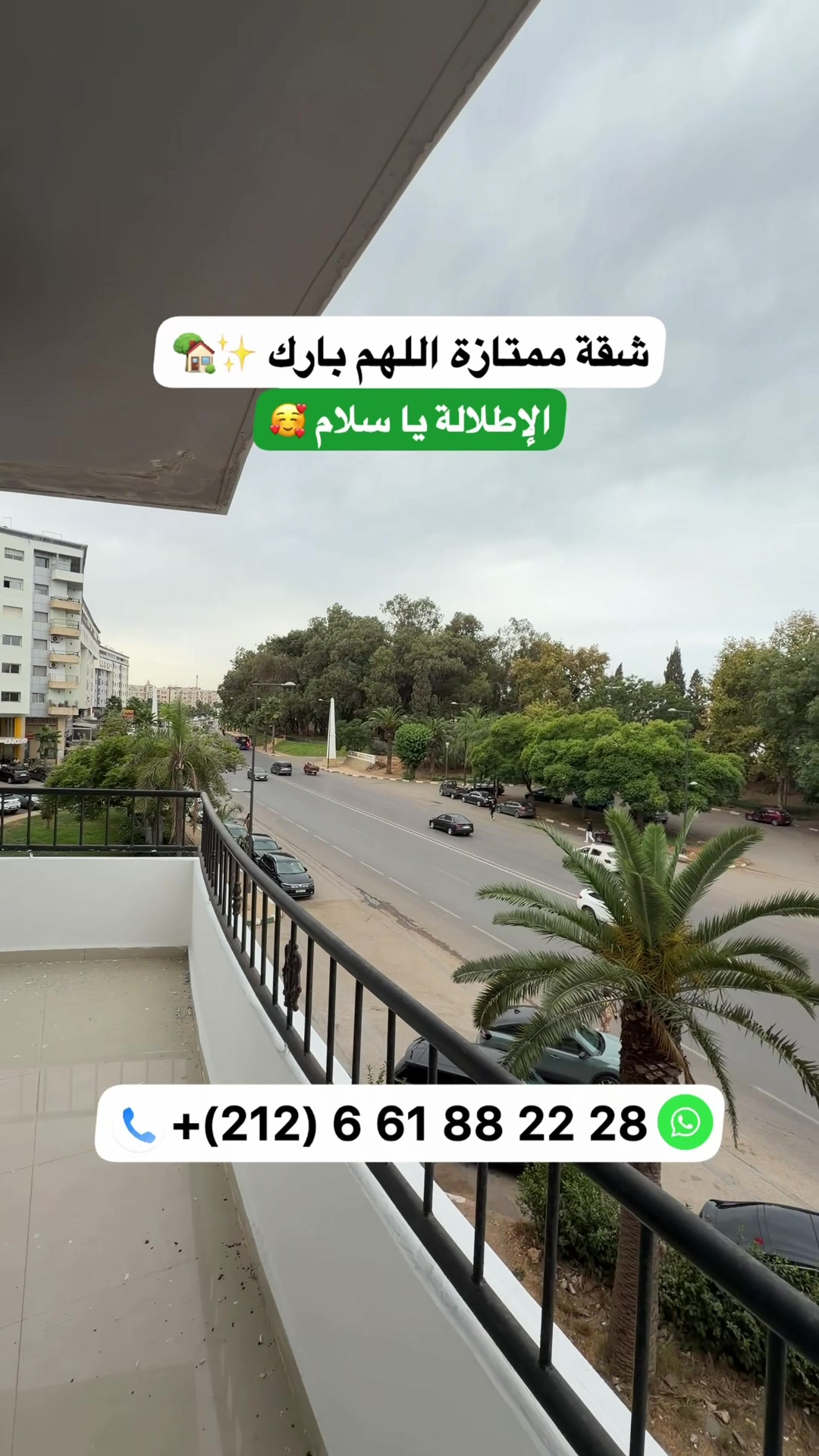 @Zakaria Haddad 🇲🇦🇵🇸