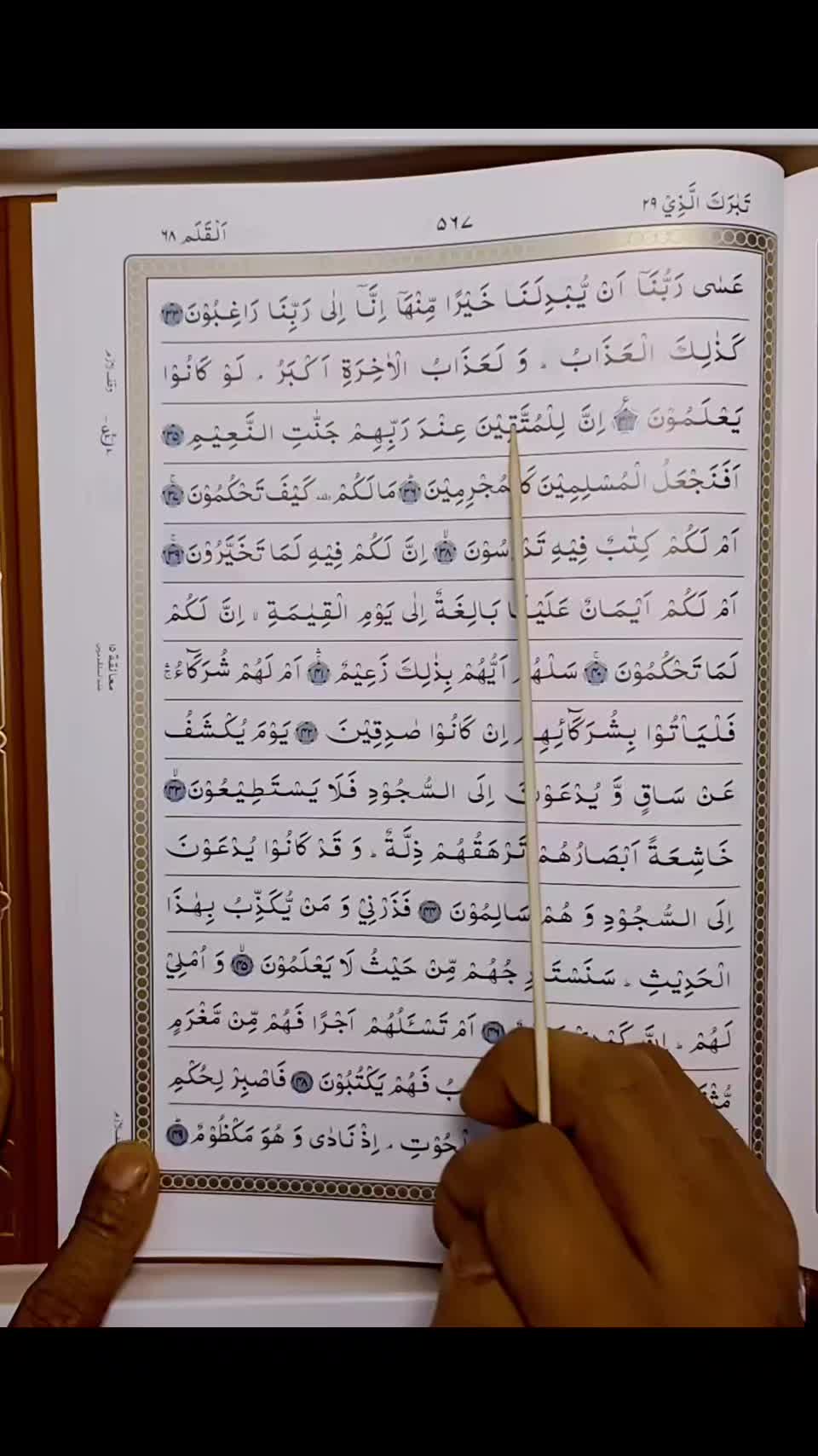 @Quran's Faizan