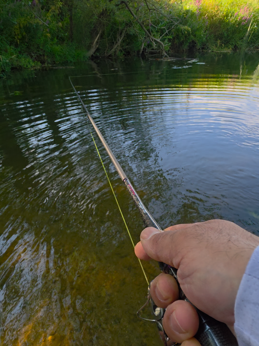 @BF Angler