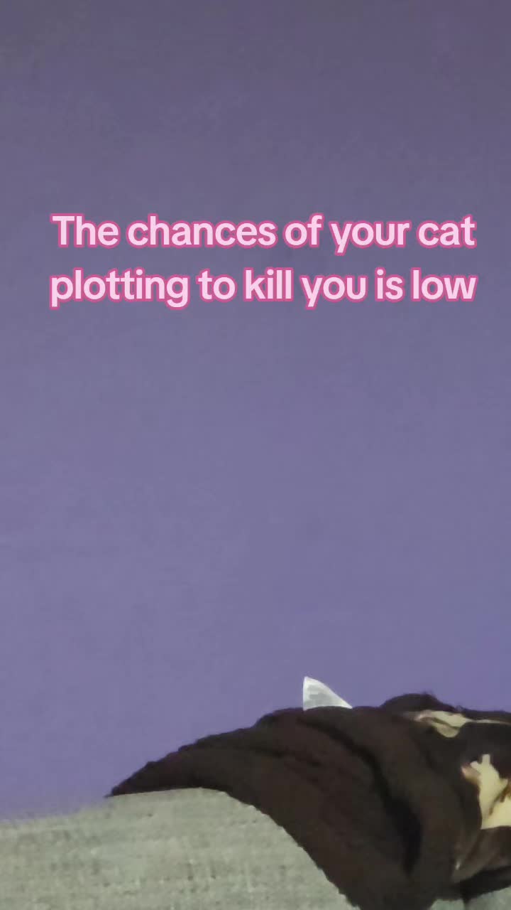 @PicoloChelsea