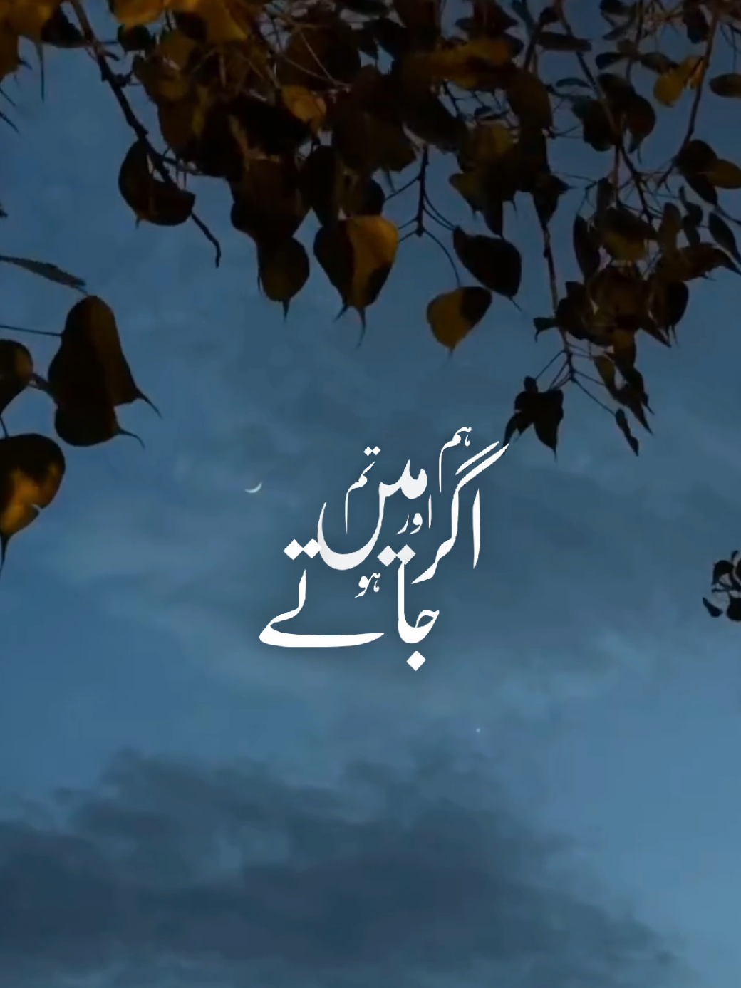 @𝙉𝘼𝘿𝙀𝙀𝙈 ❤️🌙