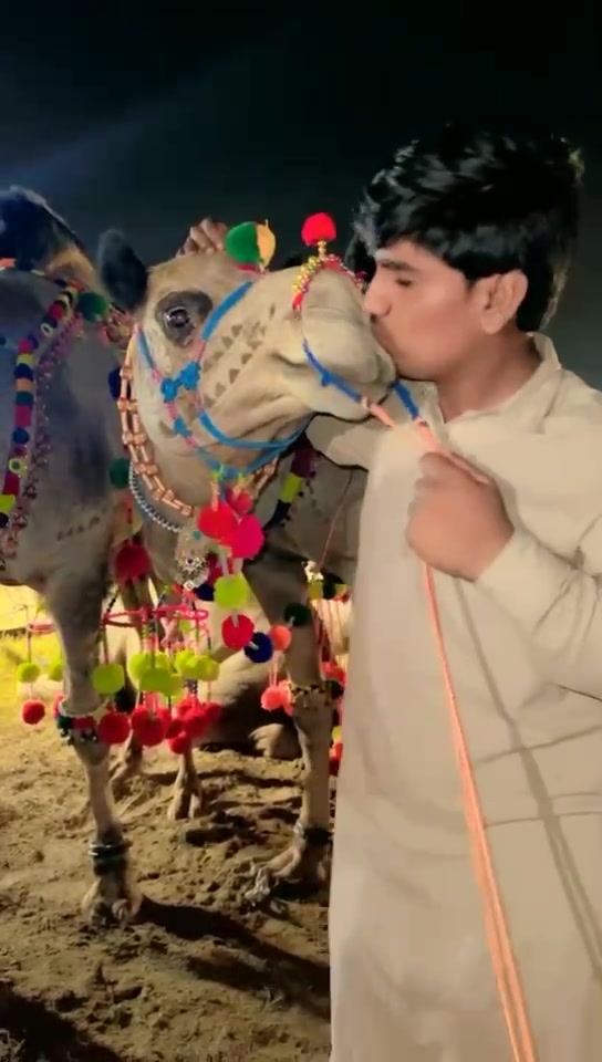 @Saad Rashid