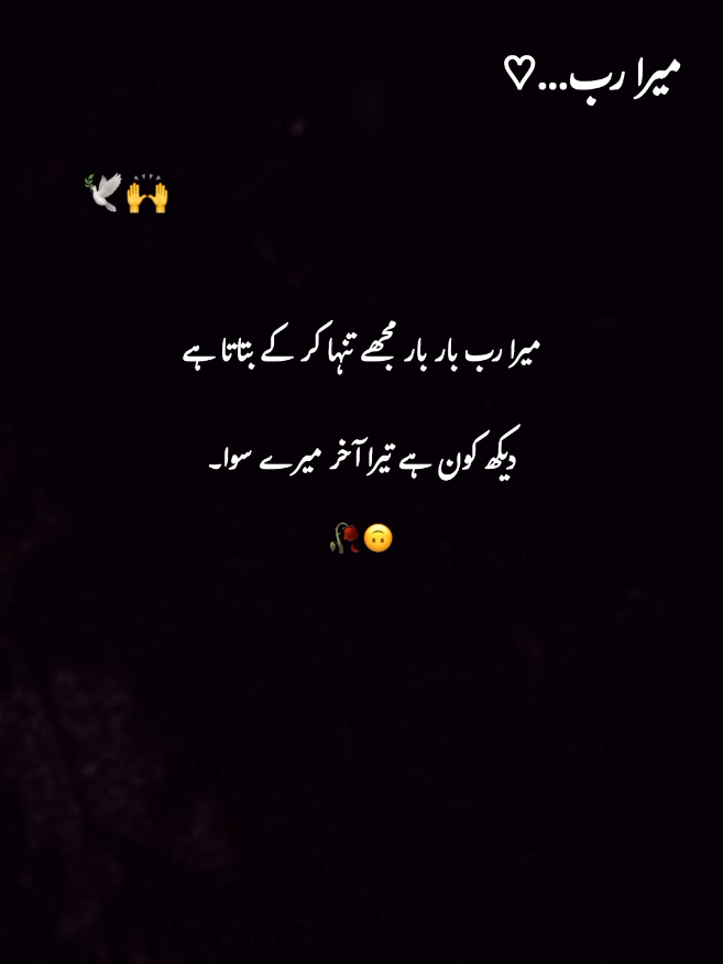 @𓆩PeaceWithin islam𓆪