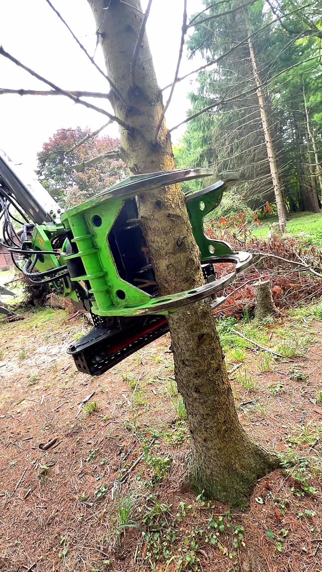 @kravitztreeservice