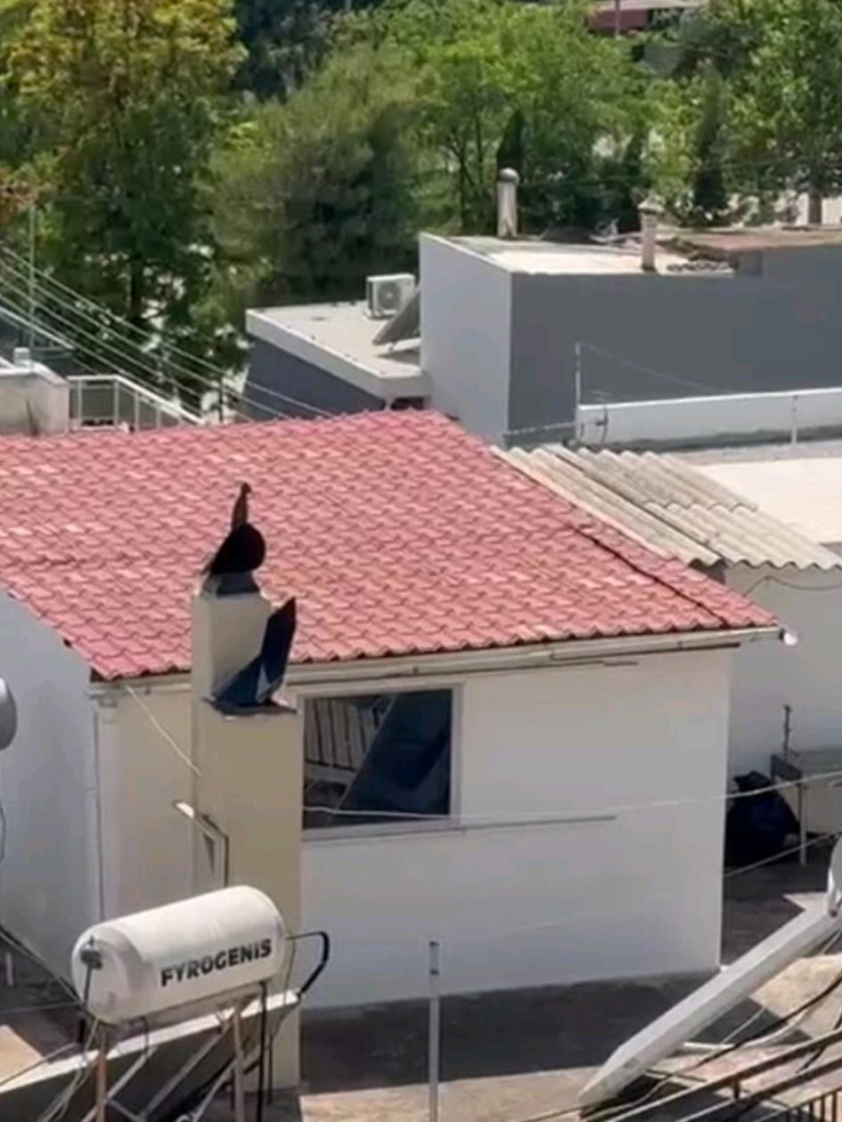 @newsit.gr