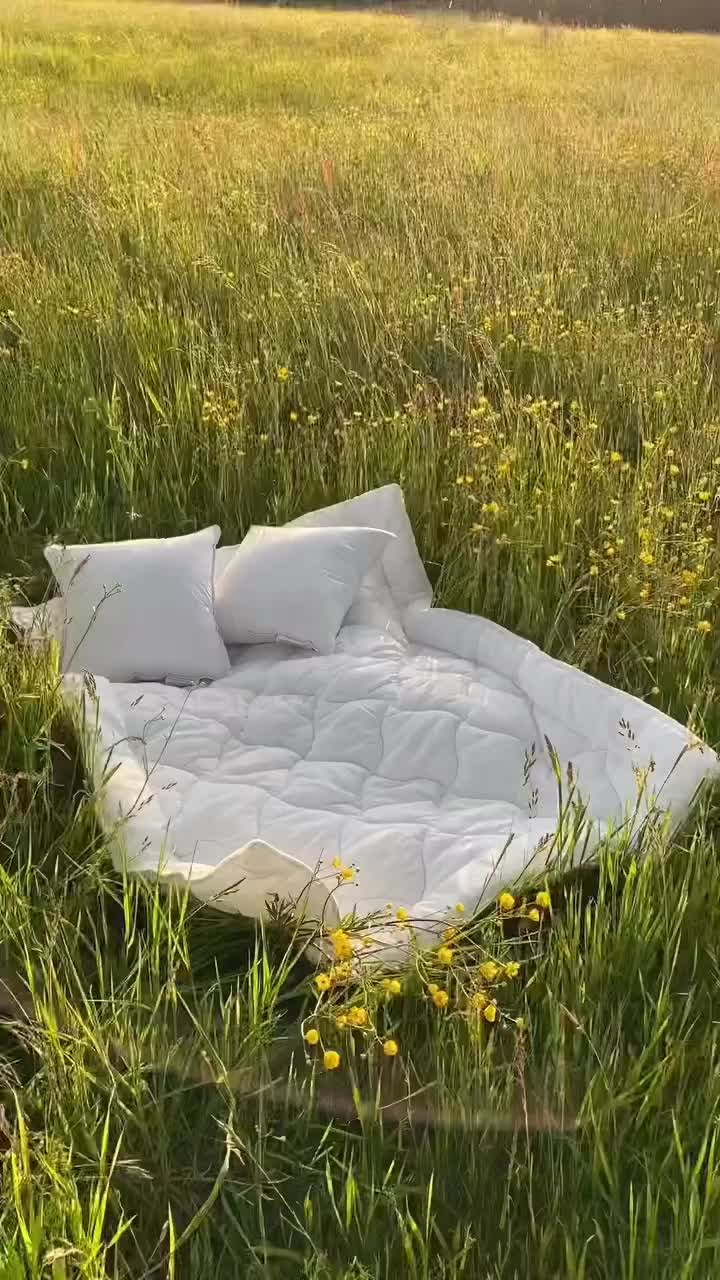 @Archidream.