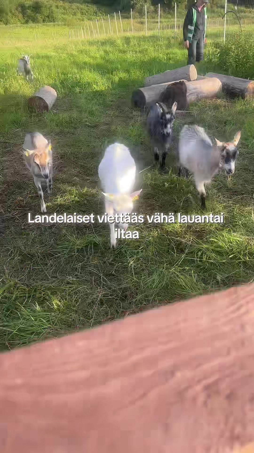 @ninna!
