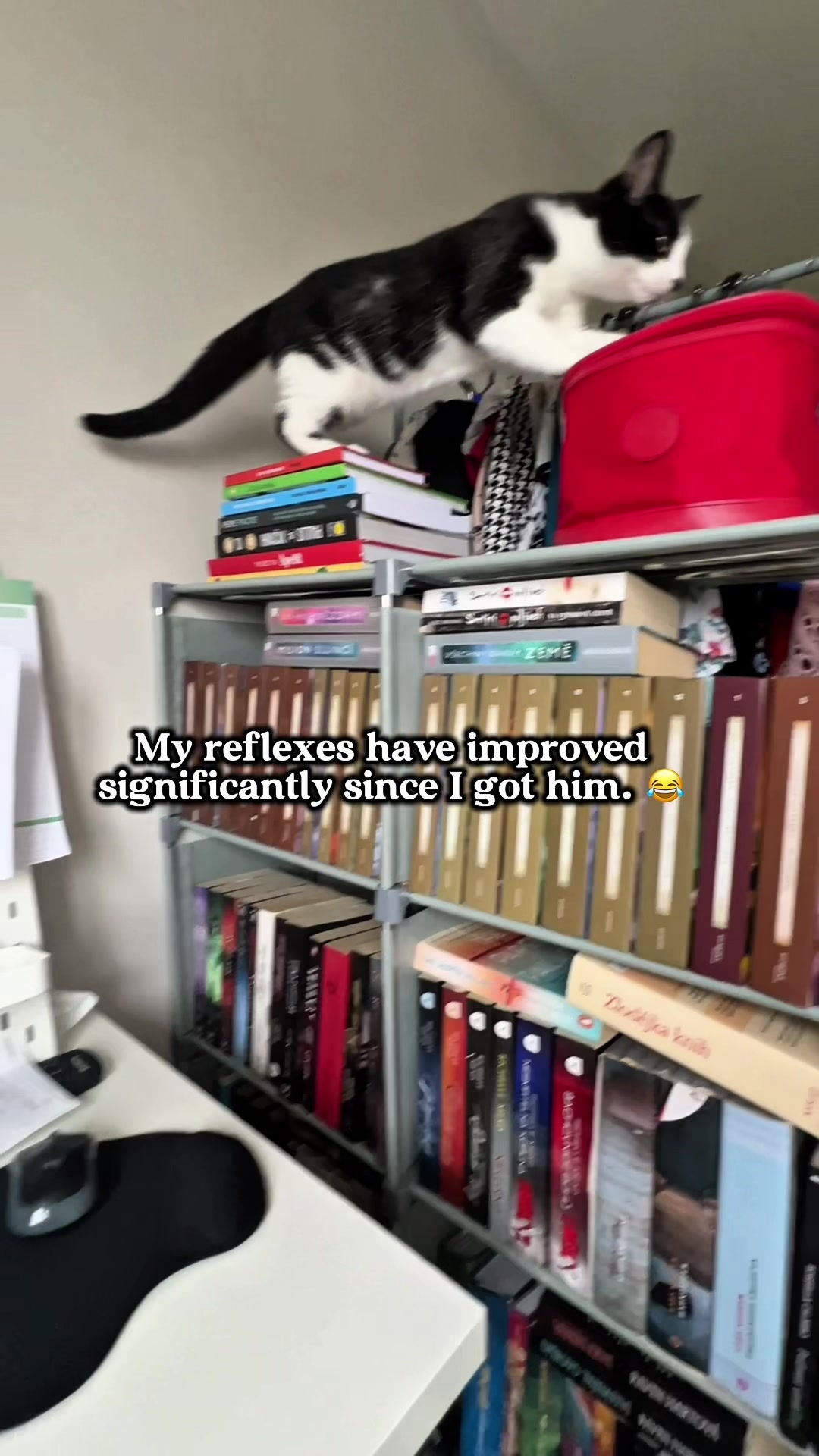@slavic_cat_mum