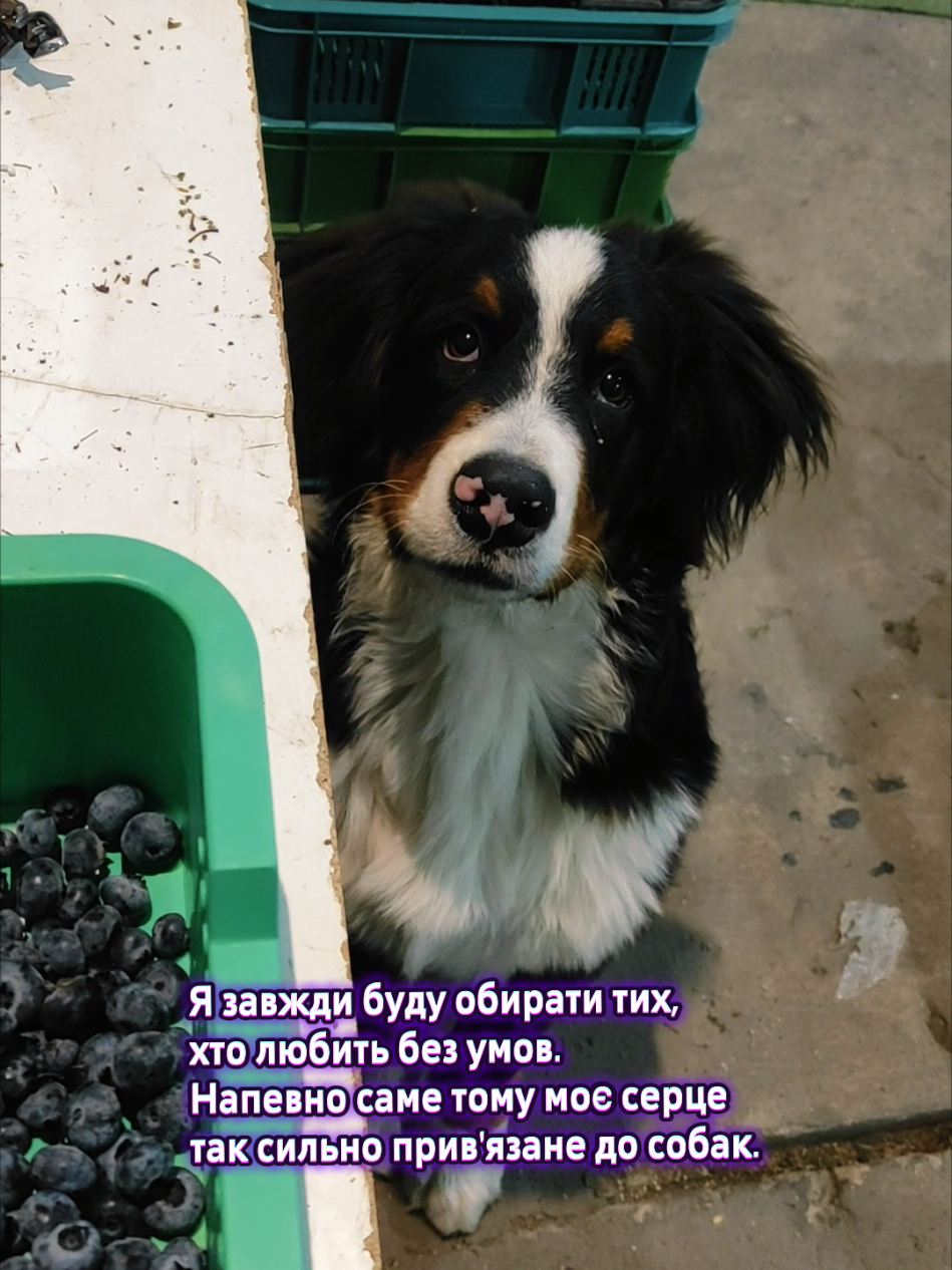@Таня✨