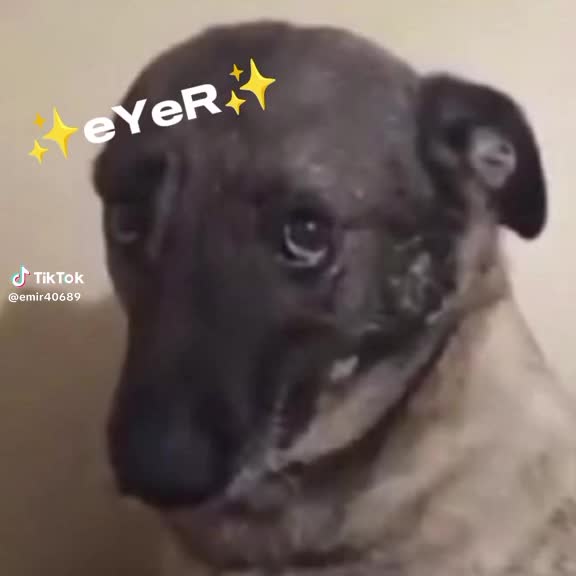 @AYKUTMERT