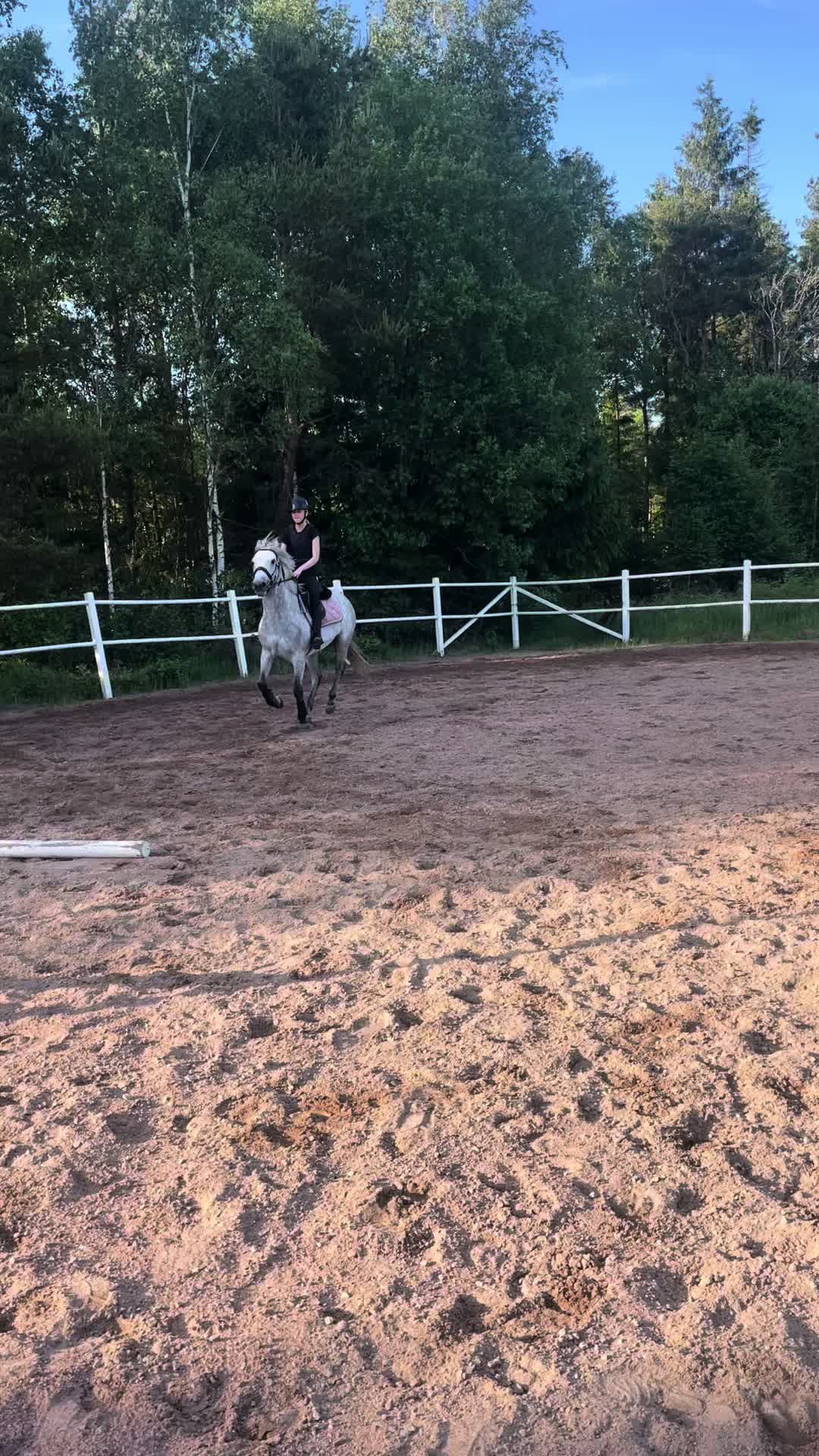 @Ella Karlsson