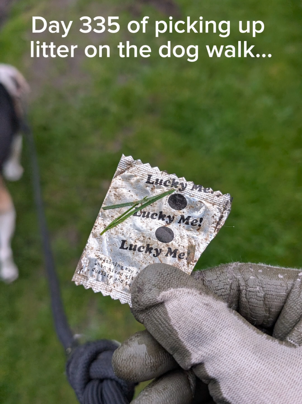 @LitterWalkiesWithRu