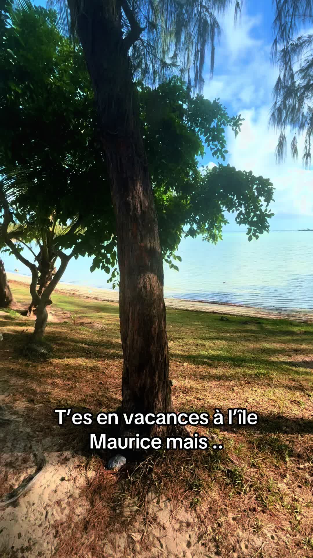@Lamandiine6