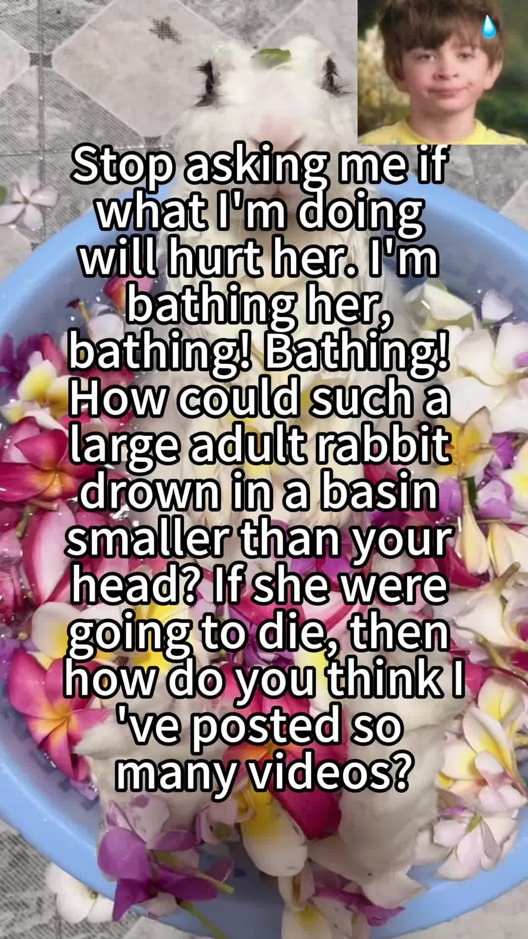 @RabbitBall