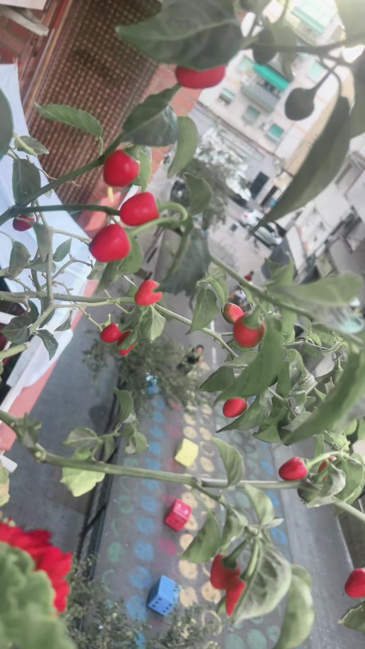 @Sumi ghimire (लक्ष्मी)🇳🇵🇪🇸