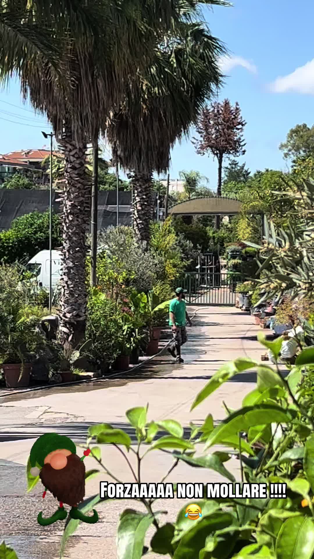 @vivaioanticogarden