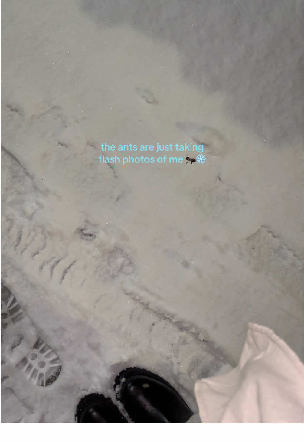 @vic